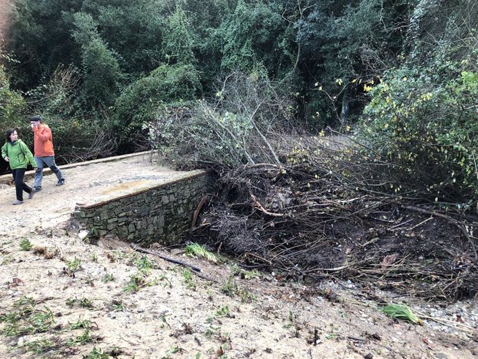 Les tempestes de divendres provoquen afectacions als camins de Collserola