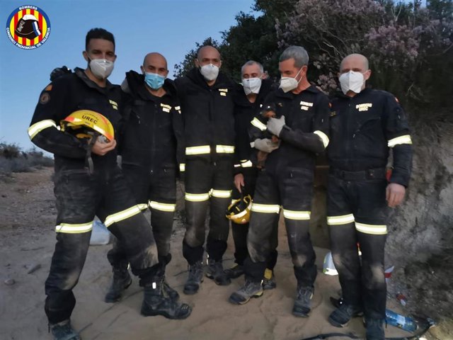 Los efectivos de bomberos junto a la perrita rescatada de una madriguera en Real