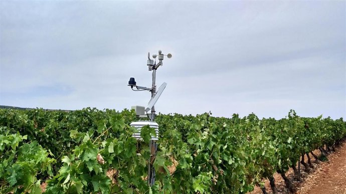 Un proyecto de Grupo Rioja permite combatir el Mildiu de un modo más sostenible