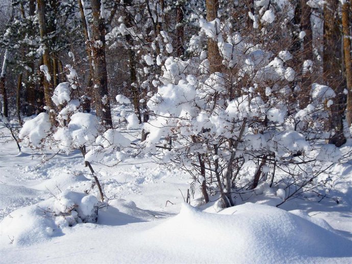 Alertan de rachas de viento de más de 100 km/h el jueves y el viernes, y nieve a 600 metros este último día 