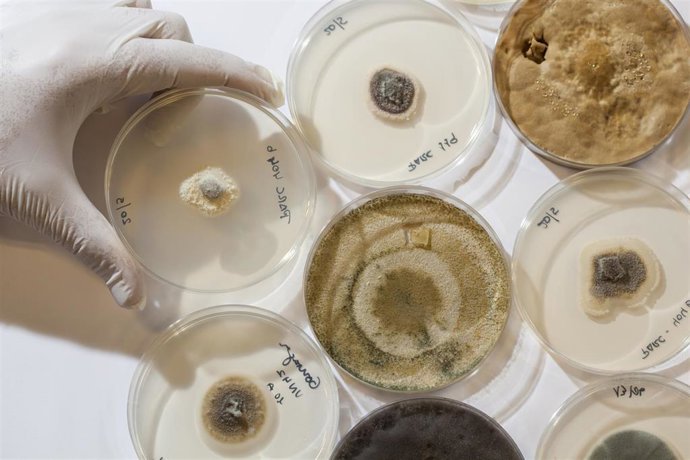 La Universidad de la Rioja solicita 28 proyectos de I+D+i a la convocatoria 2020 de la Agencia Estatal de Investigación