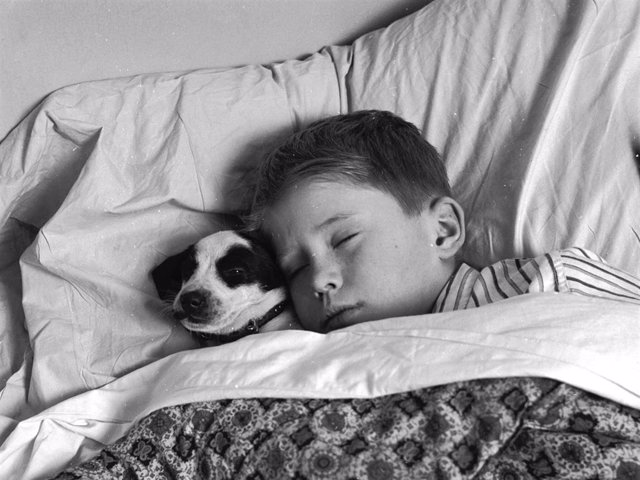 A young boy asleep with his dog.