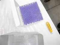 Llegan a Catalunya las primeras dosis de la vacuna contra el Covid-19