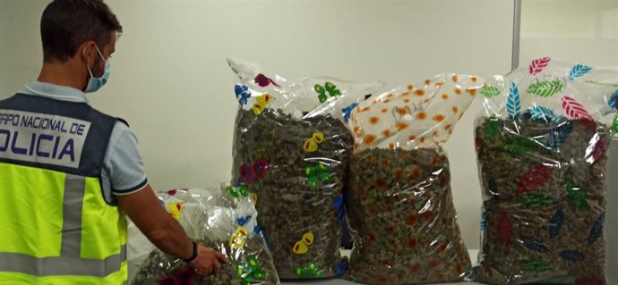 La Policía Nacional ha detenido a ocho personas en distintas operaciones por tráfico de drogas durante la campaña de navidad