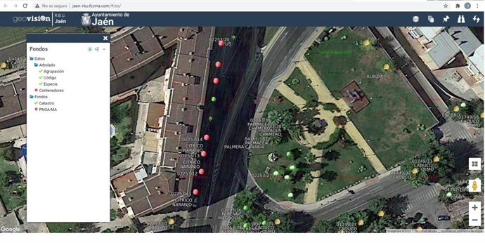 Imagen de la aplicación Geovisión para conocer la localización del arbolado de Jaén.