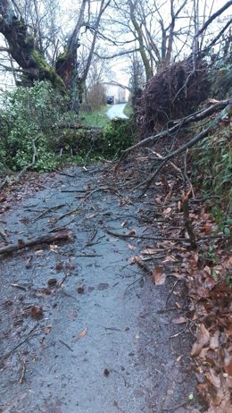 Daños por el temporal en Langreo