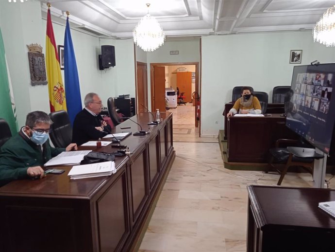 Sesión telemática del Consejo Local de Participación Ciudadana de San Juan