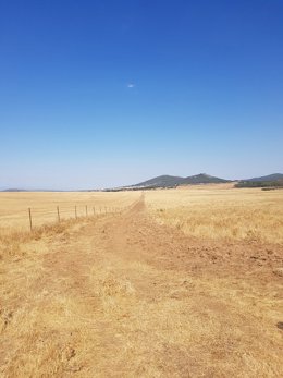 Zona para el aeródromo de Mirabel (Cáceres)
