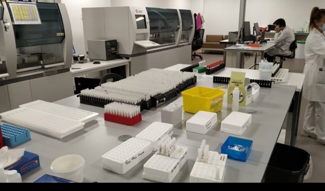 Investigación