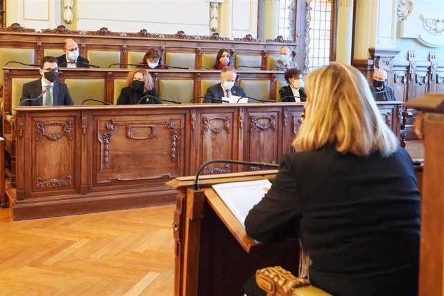 Sesión extraordinaria de pleno en el Ayuntamiento de Valladolid para la aprobación del proyecto de presupuetos para 2021.