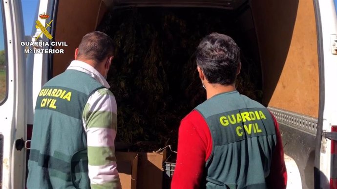 Operación contra una explotación de marihuana en Lanzahíta (Ávila).