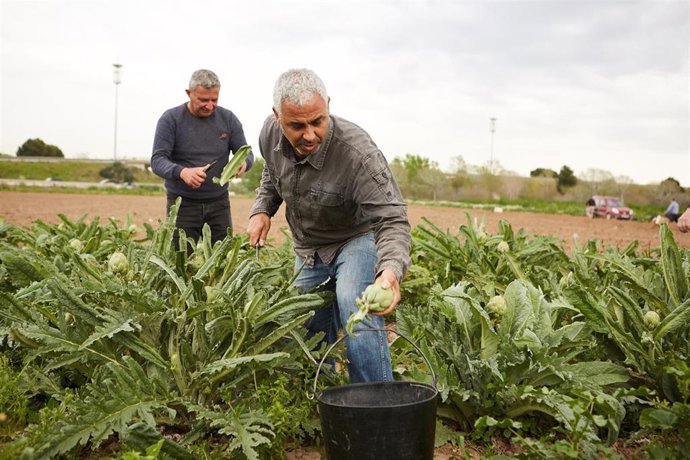 Convocatoria para la transformación social en el mundo rural