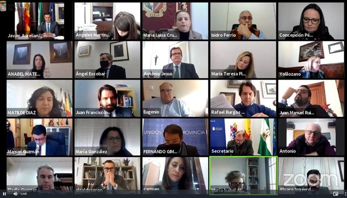 Pleno telemático de la Diputación de Almería