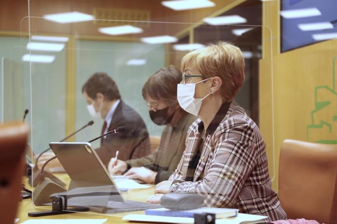 La consejera de Desarrollo Económico, Sostenibilidad y Medio Ambiente, Arantxa Tapia, en el parlamento vasco