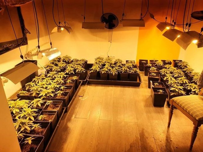 Droga intervenida en una vivienda de Russafa