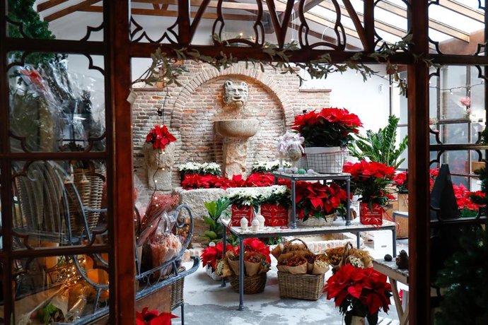 Flores y plantas de Navidad en la floristería El Ángel del Jardín, en Madrid, (España).
