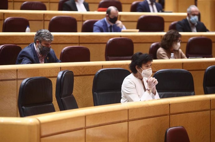 La ministra de Educación, Isabel Celaá, en una sesión plenaria en el Senado el pasado 23 de diciembre, día en que se aprobó la nueva Ley de educación, la LOMLOE o 'Ley Celaá'
