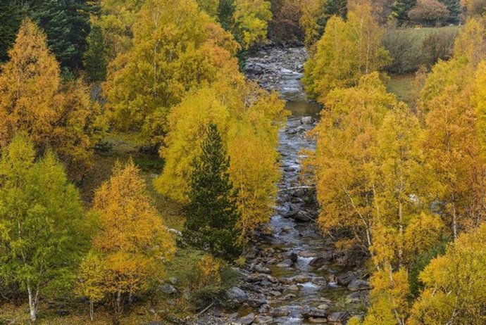 Río Noguera Pallaresa