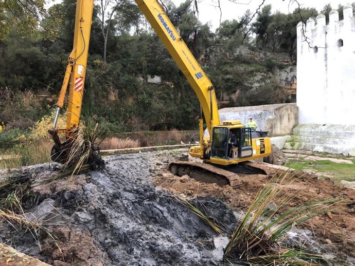Tras la retirada de cientos de camiones de lodo, se procederá a la siembra y creación de un nuevo camino de entrada.