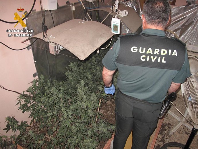 Un agente de la Guardia Civil en una plantación de marihuana
