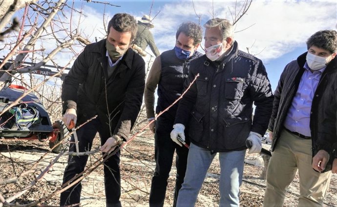 El presidente del PP, Pablo Casado, junto al secretario general del partido, Teodoro García Egea, y el presidente del PP de Murcia, Fernando López Miras, en una explotación agraria de Cieza (Murcia)