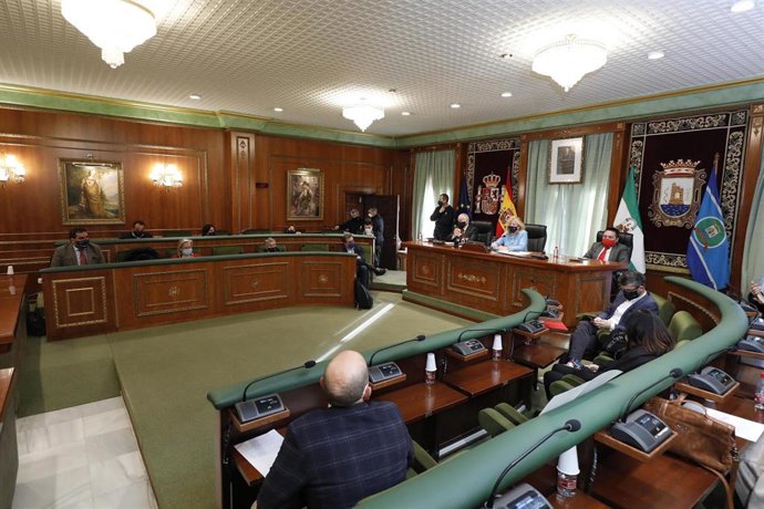 Pleno del Ayuntamiento de Marbella de 30 de diciembre de 2020