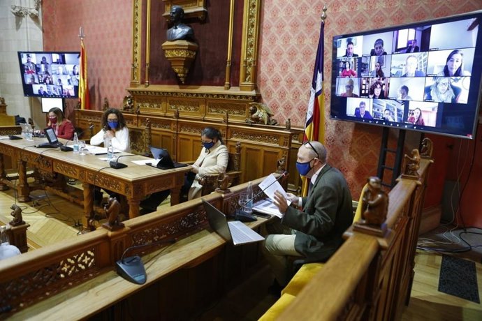 El portavoz del Grupo Socialista en el Consell de Mallorca, Andreu Alcover, durante el pleno de la institución insular.
