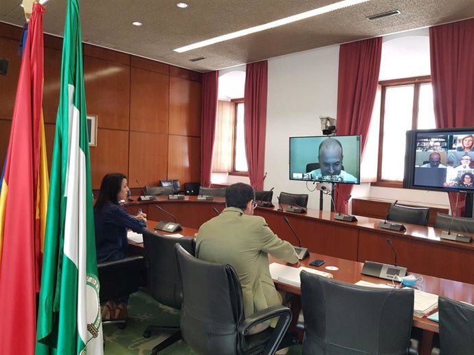 Reunión telemática de la Mesa del Parlamento andaluz (Foto de archivo).