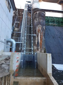 Acciona ha puesto en marcha un ascensor para salmones en la presa de Palombera, en el río Nansa (Cantabria) que recuperará el hábitat natural de esta especie en la zona