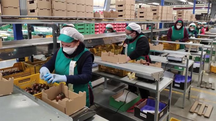 Manipuladoras de productos hortofrutícolas de Almería