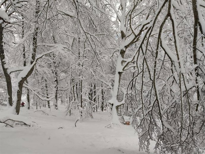 Nieve en el monte Gorbea