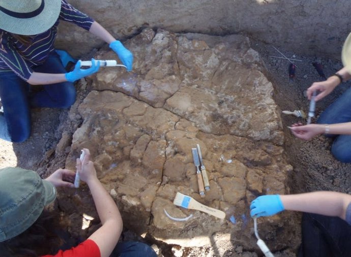 Imagen de la extracción de uno de los fragmentos de adobe de la cabaña prehistórica de Valencina