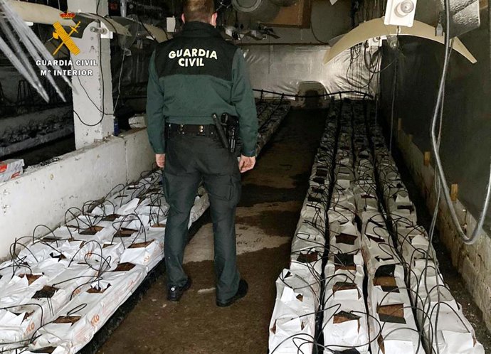 Plantación marihuana desmantelada tras un incendio