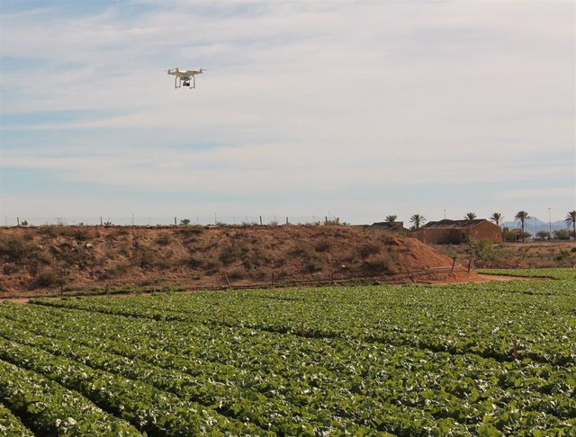 Sector hortofrutícola murciano, campo, drone