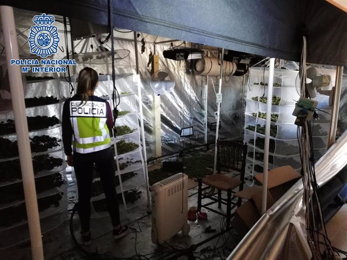 La Policía Nacional ha detenido a dos personas y ha desmantelado una plantación "indoor" de marihuana incautando 82 kilos de esa sustancia