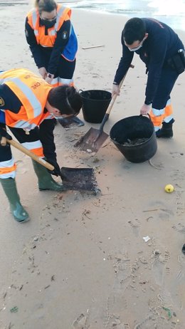 Efectivos de Protección Civil retiran carabelas portuguesas en las playas de Ferrol