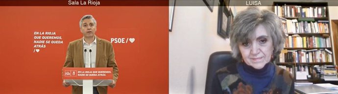 La secretaria Ejecutiva de Sanidad del PSOE, María Luisa Carcedo, en comparecencia de prensa virtual con el secretario general del PSOE. Francisco Ocón