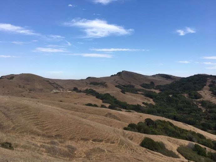 Un ecosistema de tierras secas en el norte de California muestra una disminución de la humedad del suelo, pero pocos cambios en la disponibilidad de agua superficial.