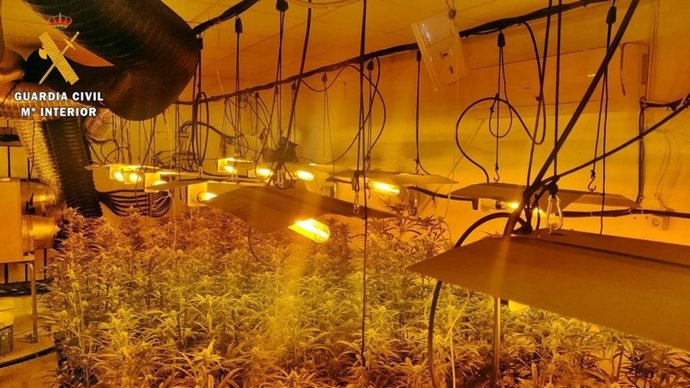 Imagen de archivo de una plantación intervenida