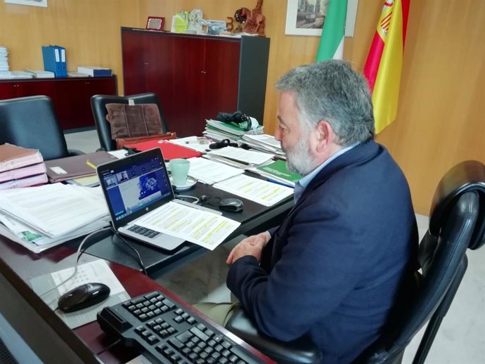 El delegado territorial de Empleo, Formación, Trabajo Autónomo y Economía, Conocimiento, Empresas y Universidad de la Junta en Cádiz, Alberto Cremades, durante el seminario web, en una foto de archivo.
