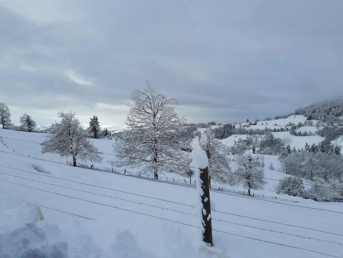 Nieve en Cangas del Narcea, temporal.