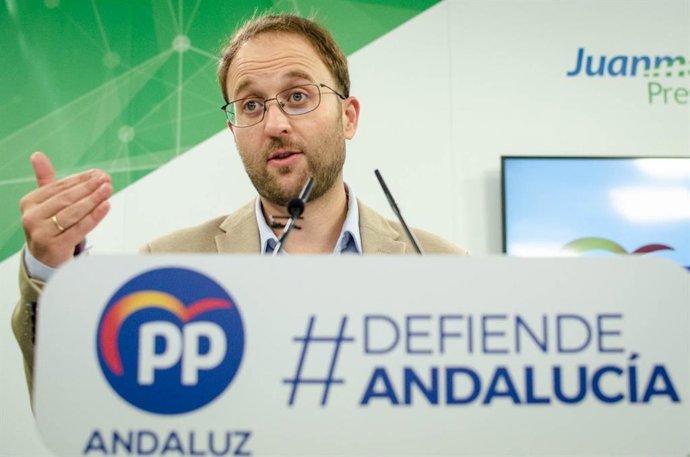 El portavoz de Empleo del PP-A en el Parlamento andaluz, Erik Domínguez, en una foto de archivo.