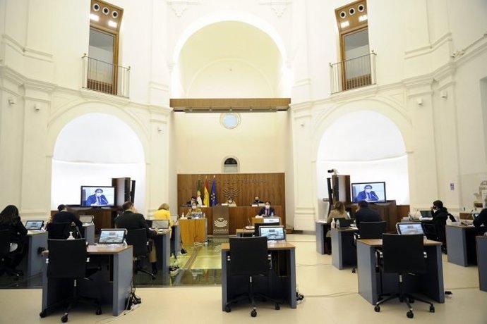 Comisión sobre la Covid-19 en la Asamblea, en una foto de archivo