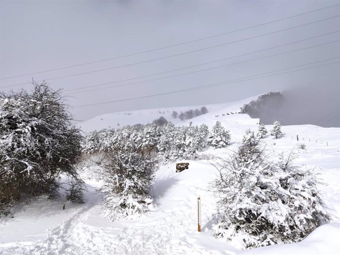 Nieve en Euskadi