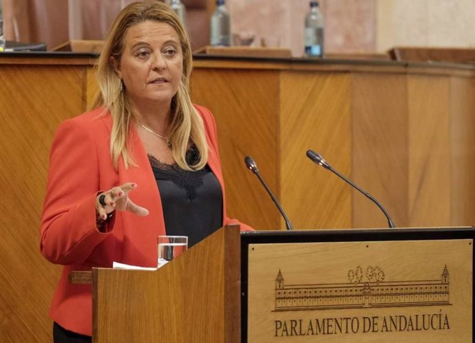 La portavoz del Grupo Parlamentario Popular en la comisión de Asuntos Europeos, Ángela Hidalgo