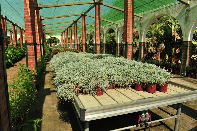 Vivero provincial de la diputación de málaga