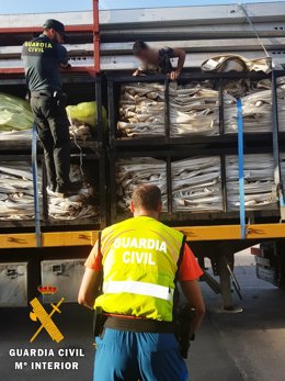 Uno de los polizones localizados en el puerto