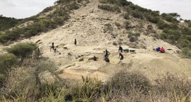 Ruinas y Fósiles