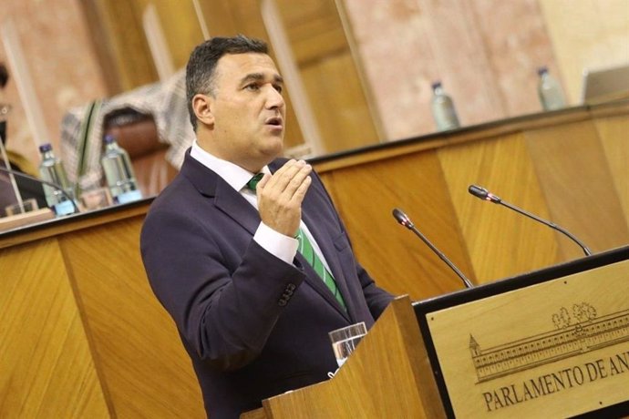 Carlos Hernández White, parlamentario andaluz de Cs por Málaga, en el Parlamento de Andalucía