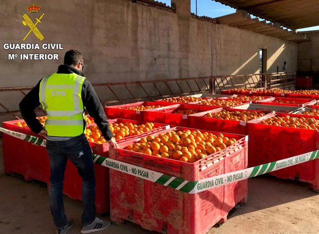 Remitiendo Nota De Prensa